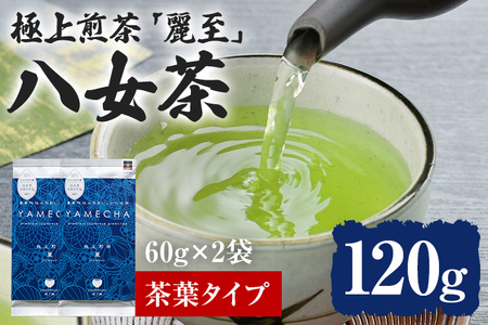 yzc ɏ 펊 120 gi60g×2At^Cvj ɏ   t 
