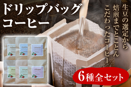 数量限定 コーヒー ドリップバッグ 6種類 無糖 送料無料 コロンビア グァテマラ ブラジル インドネシア エチオピア コチャレ ゲイシャ 買いまわり 全種セット