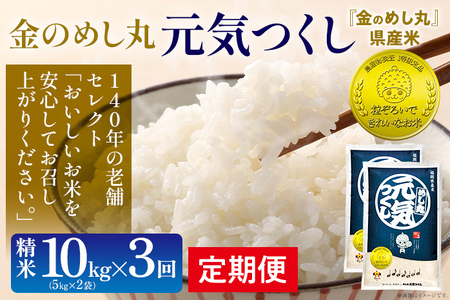 金のめし丸 元気つくし 合計30kg 10kg (5kg×2袋) ×3回 定期便 白米 精米 お米 ご飯 米 精米 お取り寄せ 福岡 お土産 九州 福岡県産 グルメ 福岡県