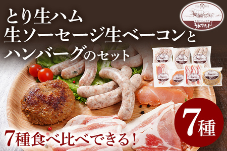 とり生ハム 生ソーセージ 生ベーコン ハンバーグのセット（Fセット） 生ハム 生ウィンナー ベーコン ハンバーグ 手作り うえすたん セット 詰め合わせ 福岡県 志免町