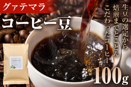 コーヒー豆 グァテマラ アンティグア レタナ農園 イエローブルボン 100g お試し 自家焙煎 ドリンク 飲料