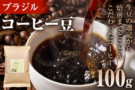 コーヒー豆 ブラジル トミオフクダ DOT ムンドノーボ 100g お試し 自家焙煎 ドリンク 飲料