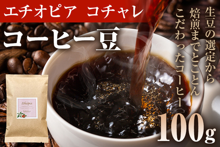 コーヒー豆 エチオピア イルガチェフ コチャレ ナチュラル 100g お試し 自家焙煎 ドリンク 飲料