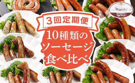 [定期便]手造りウィンナー 食べ比べ 10種類 Oセット×3回 ウィンナー ソーセージ チーズ あらびき ペッパー 餃子 ガーリック 生ウィンナー うえすたん セット 食べ比べ 詰め合わせ バラエティ
