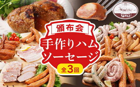 [頒布会]手造り ハムソーセージ C1・E1・O 3回お届け ウィンナー ソーセージ ハム 手羽先 燻製 チーズ あらびき ハンバーグ ソース ペッパー 餃子 生ウィンナー うえすたん セット 食べ比べ 詰め合わせ バラエティ