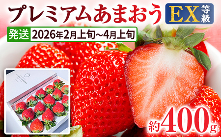 y2026Ns\zv~A ܂ EXiϔj t[c ʕ ܂ 400g×1pbN  C`S Mtg p 蕨 j j ϔ y2026N2{