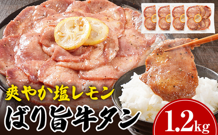 ^  lC v1.2kg   ybp[    ΂| XCX 300g×4pbN ^ ^  ē Ă I BBQ Ⓚ AEghA o[xL[
