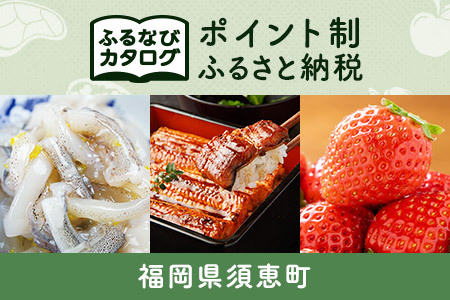 [有効期限なし!後からゆっくり特産品を選べる]福岡県須恵町カタログポイント