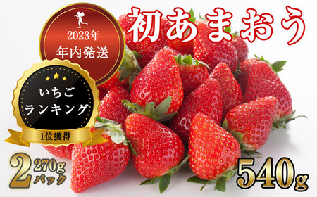 [数量100件限定]福岡県産 初あまおう 540g (270g平パック×2パック) TY001-1