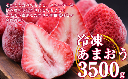 [数量限定][4月より順次発送]福岡県産 冷凍 いちご あまおう 3.5kg TY006-1
