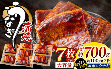 AB398.うなぎ蒲焼き（約100g×7Pセット）