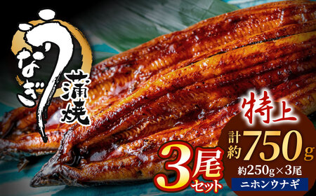 AE202.うなぎ蒲焼き3尾セット（約250g×3尾）