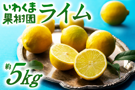 貴重な国産ライム.約5kg/2024年10月〜12月発送予定