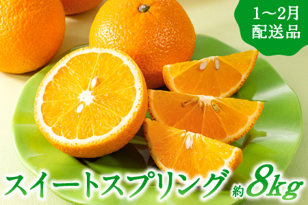 [予約受付・期間限定商品]福岡柑橘王国・スイートスプリング(2025年1月〜2月配送予定)