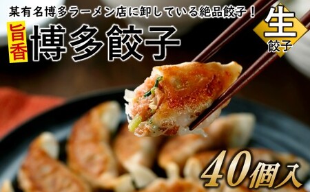 [創業40年の老舗が誇る味わい]博多餃子40個