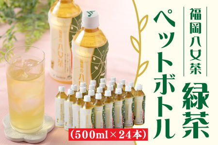 福岡八女茶のペットボトル.緑茶(500ml×24本)
