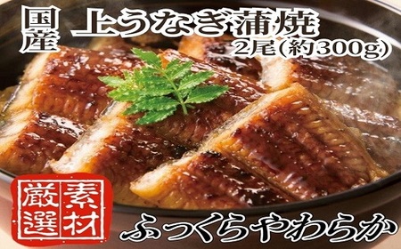 AC134.yYzイȂ.2i300gjw1~2Oł͂IIx