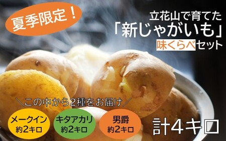 A1558.[夏季限定]立花山で育てた「新じゃがいも」2種味くらべセット(約4kg)/約2kg×2品種
