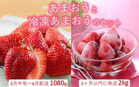 あまおう約1,080gと冷凍あまおう約2kgのセット[あまおう]