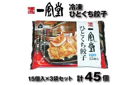博多一風堂ひとくち餃子(3セット)