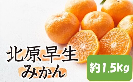 [予約受付・期間限定商品]北原早生みかん(1.5kg程度).2026年10月〜11月配送