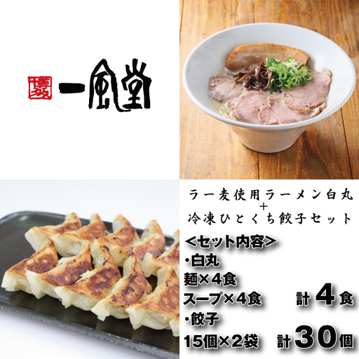 ZH263.【一風堂】白丸ラー麦麺4食とひとくち餃子2袋セット【豚骨ラーメン】