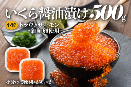 A1469.いくら醤油漬(サーモントラウト・紅鮭)500g(250g×2パック)