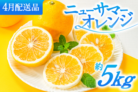 福岡柑橘王国.ニューサマーオレンジ約5キロ/2025年4月配送