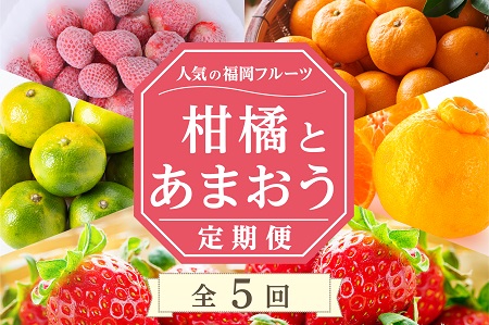 [人気の福岡フルーツ]柑橘とあまおう定期便