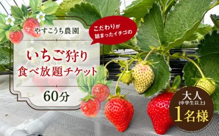 いちご狩り 食べ放題チケット60分 大人(中学生以上)1名様 イチゴ狩り 福岡県 やすこうち農園 久山町 体験チケット