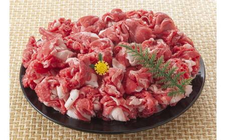 �y��������ցz�yA4�`A5�z�����a���؂藎�Ƃ� 1kg(500g×2�p�b�N) �S6��@AO099