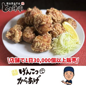 博多とよ唐亭 げんこつからあげ 400g 10個 BF001-1