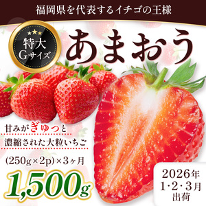 ֑S3 Y ܂ v1500g s\ 2026N1菇@BA024-3