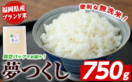 [無洗米・真空パック]夢つくし(750g) 無洗米 真空パック 米 お米 白米 ごはん ご飯 常温 福岡県産 小分け ブランド米 福岡県産 5合 ローリングストック キャンプ アウトドア ストック 防災グッズ 常温保存 おにぎり お弁当 ライス [朝ごはん本舗]as05-137