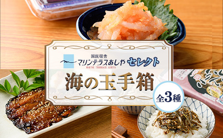 筑前芦屋 海の玉手箱セット(全3種) 明太 明太子 めんたい めんたいこ 海鮮 魚介 魚卵 いか イカ いかめんたい 明太 いわし イワシ 鰯 いわしみりん あしやみりん ぼし いりこ セット 名物 おかず おつまみ 晩酌 冷凍[マリンテラスあしや]as13-009
