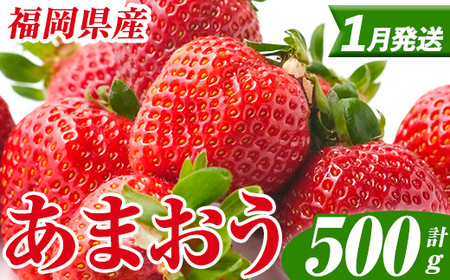 [先行予約受付中!2026年1月上旬以降順次発送予定] 福岡県産 あまおう (計500g・250g×2パック) いちご イチゴ 苺 ストロベリー 果物 フルーツ おやつ デザート スイーツ 福岡県 小分け アマオウ 1月発送 期間限定 数量限定 冷蔵 [エフビーネット]as47-003