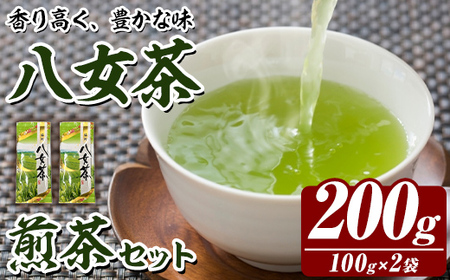 八女茶 煎茶 セット (100g×2袋) 茶 お茶 八女茶 煎茶 パック 福岡県産 [木村食品]as46-017