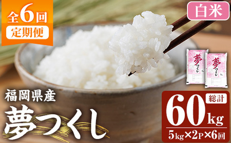 ߘa7NYVāy6ցEāzyHӒmIzY (v60kgE5kg×2×6)     ͂ ߂  퉷 Y uh   