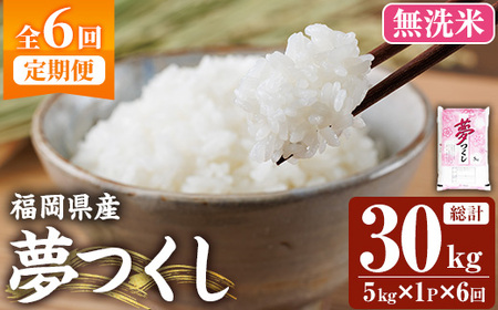 ��ߘa7�N�Y�V�ā�y6�����ցE�����āz�y�H���Ӓ�m���I�z�������Y ������(���v30kg�E5kg×1��×6��) �� ������ ���� ������ ���͂� ��߂��� ���� �퉷 �������Y �u�����h�� ����� ���