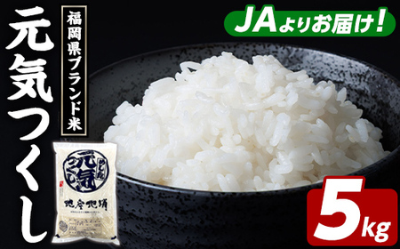 福岡県ブランド米 元気つくし (5kg) お米 米 コメ おこめ こめ げんきつくし 白米 ごはん ご飯 福岡県産 ブランド米 常温 常温保存 おにぎり おむすび お弁当 [農産物直売所ほたるの里]as52-001