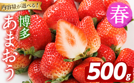 [先行予約受付中!2026年2月上旬以降順次発送予定]博多 あまおう[春] (計500g・250g〜270g×2パック) いちご イチゴ 苺 ストロベリー 果物 フルーツ おやつ デザート 冷蔵 アマオウ 旬 小分け [農産物直売所ほたるの里]as52-008