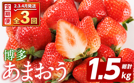 [先行予約受付中!2026年2月上旬以降順次発送予定][定期便・全3回(2月・3月・4月)]博多 あまおう (総計1.5kg) いちご イチゴ 苺 ストロベリー 果物 フルーツ おやつ デザート 冷蔵 旬 小分け 定期便 [農産物直売所ほたるの里]as52-011