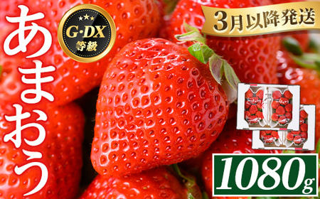 ＜2026年3月下旬以降順次発送予定＞福岡県産 あまおう (計1080g・270g×4P) いちご イチゴ 苺 ストロベリー 果物 フルーツ おやつ デザート 1000g 4パック 冷蔵 アマオウ ジャム スムージー ケーキ お取り寄せ 国産 福岡県産 【FUKUOKA MIOTSUKUSHI】as55-001
