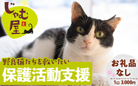 ≪お礼品なし≫保護猫 活動支援(1口:3,000円) 猫 ねこ ネコ 地域猫 野良猫 のらねこ さくら 保護 支援 活動 里親 動物 ペット 返礼品なし ボランティア活動 医療費 エサ代 TNR 去勢 [じゃむ屋]assn15-008