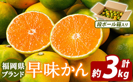 [先行予約受付中!2026年9月中旬以降順次発送予定]福岡県ブランドみかん 早味かん(計約3kg) みかん ミカン オレンジ 蜜柑 はや 温州 極早生 ブランド 柑橘 果物 くだもの フルーツ 生 国産 冷蔵 [農産物直売所ほたるの里]as52-034
