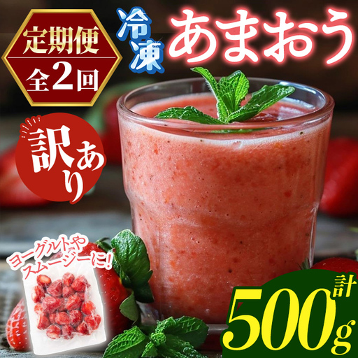 ≪定期便・全2回≫[訳あり]福岡県産 冷凍あまおう(総計500g・計250g×毎月連続2回) いちご イチゴ 苺 ストロベリー 果物 フルーツ おやつ デザート 訳アリ わけあり サイズ不揃い 規格外 冷凍 定期便 頒布会[木村食品]as46-055