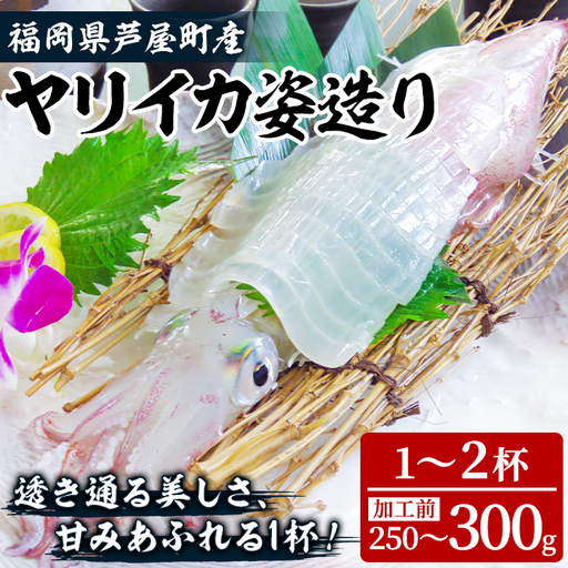 ヤリイカ (加工前:250〜300g/匹・1〜2匹分) いか 烏賊 イカ やりいか 刺身 お造り 姿造り 冷凍 急速冷凍 贈答用 ギフト 贈り物 海の幸 海産物 魚介類 福岡県産 芦屋町産 [九州男]as54-001