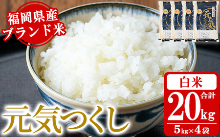 sātYuhāuCv(v20kgE5kg×4)     ͂ 񂫂  퉷 Y uh 퉷 퉷ۑ ɂ ނ ٓ CXy