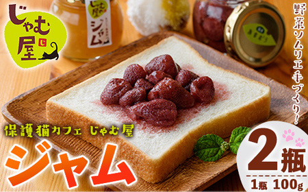 じゃむ屋のジャム詰め合わせギフトセット (2瓶) ジャム じゃむ 加工品 フルーツ 果物 果実 詰め合わせ 野菜 セット ギフト 贈答用 プレゼント 贈り物 食べ比べ お楽しみ 手づくり 手作り 朝食 常温 常温保存[屋]as15-001