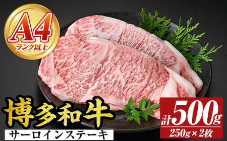 yA4`A5zaT[CXe[LZbg(v500gE250g×2) Y BY Y  a јa Xe[L yMEAT PLUSzas08-003